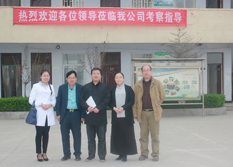 《家庭美德》,擁抱偉志企業(yè)