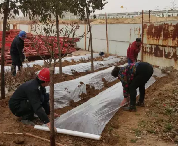 鋼模板廠家播下希望，收獲果實