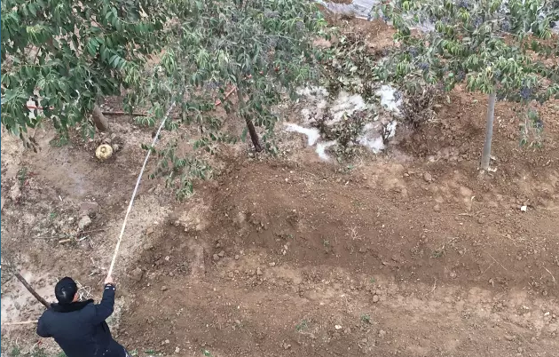 鋼模板廠家播下希望，收獲果實