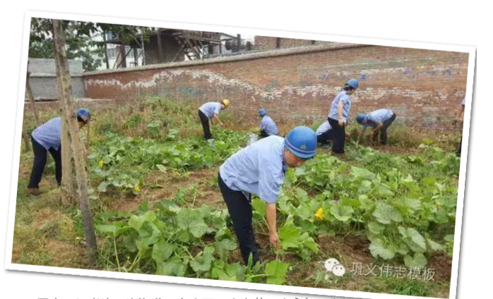 員工冒雨參加義務(wù)勞動!感動———偉志鋼模板廠家
