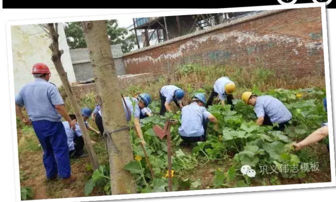 員工冒雨參加義務(wù)勞動!感動———偉志鋼模板廠家
