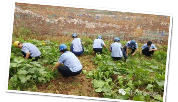 員工冒雨參加義務(wù)勞動!感動———偉志鋼模板廠家