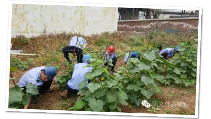 員工冒雨參加義務(wù)勞動!感動———偉志鋼模板廠家