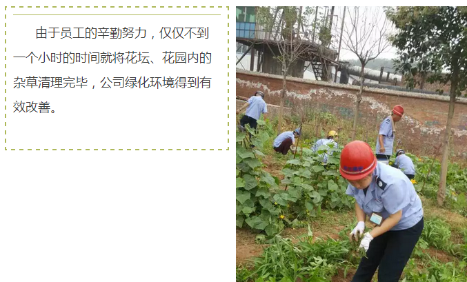 員工冒雨參加義務(wù)勞動!感動———偉志鋼模板廠家