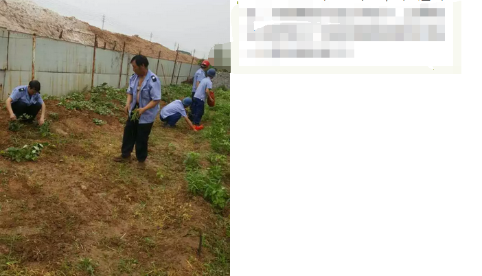 員工冒雨參加義務(wù)勞動!感動———偉志鋼模板廠家