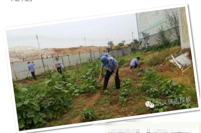 員工冒雨參加義務(wù)勞動!感動———偉志鋼模板廠家