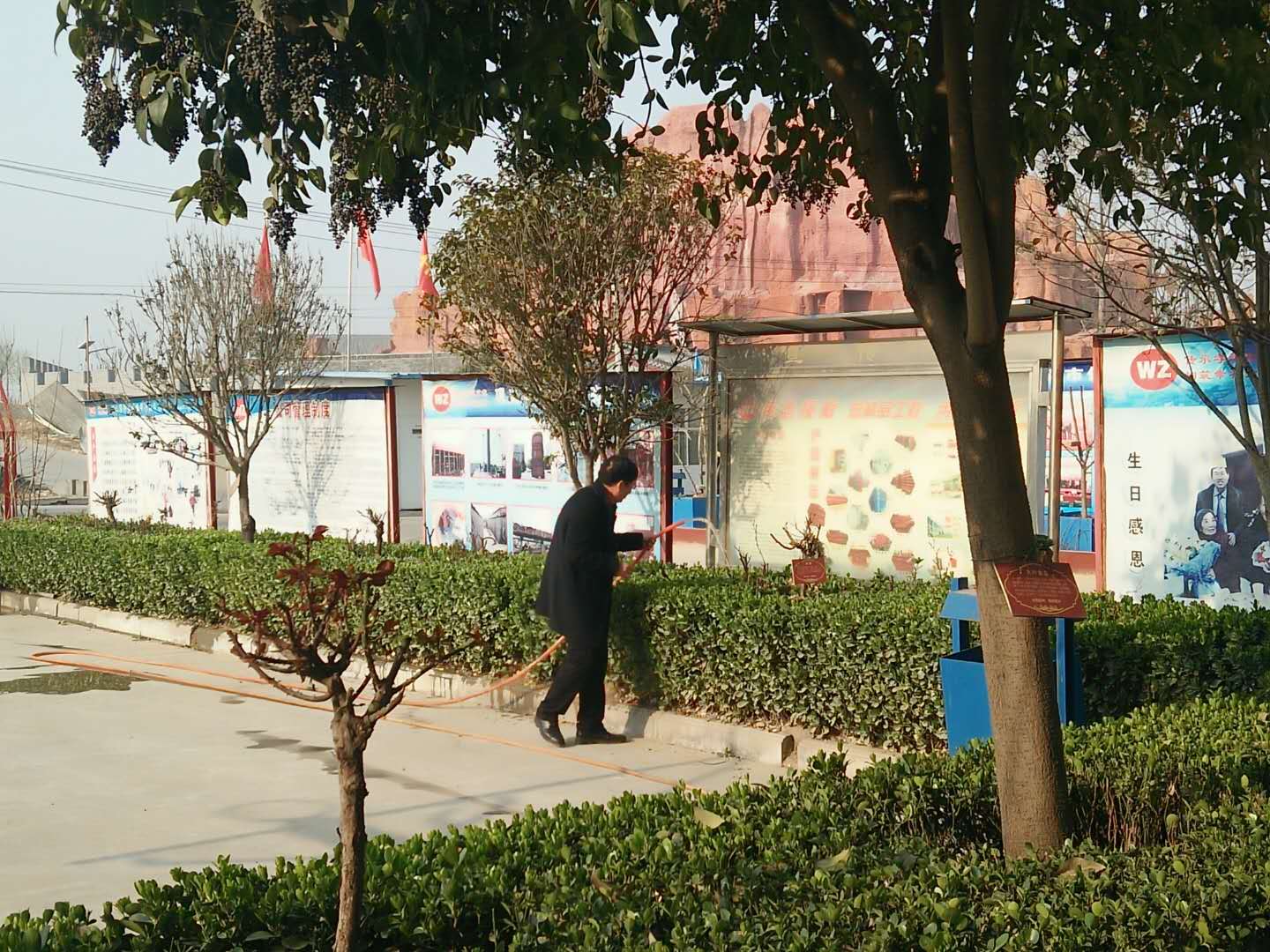 身先力行，偉志模板來(lái)董說(shuō)：植樹就要護(hù)理好