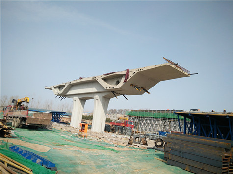 節段箱梁模板現場圖片