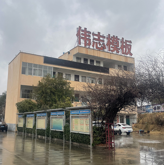 以匠心鑄“橋”梁,以品質(zhì)傳“粽”情